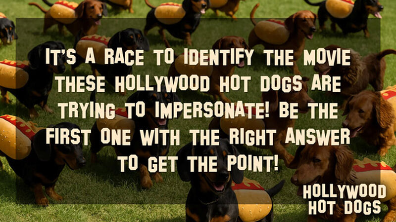 Hollywood Hot Dogs